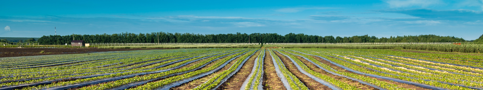 Hero de la de sous produits points verts